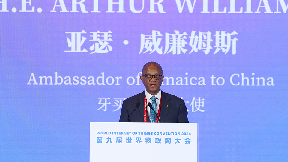 The World Internet of Things Convention 2024 Opened in Beijing