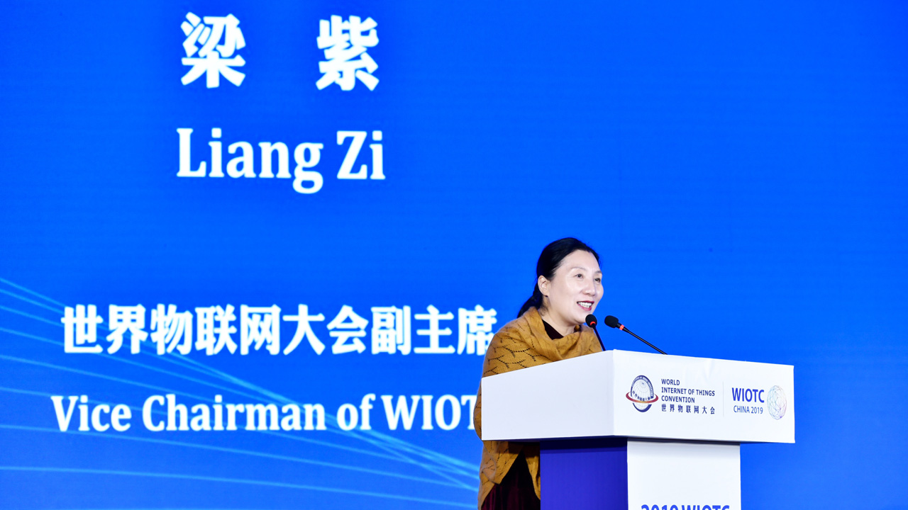 2019世界物联网大会 2019世界物联网大会